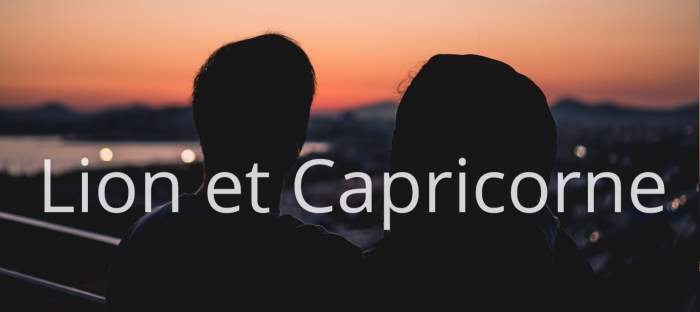 Homme Lion et Femme Capricorne : Compatibilité amoureuse des signes astrologiques