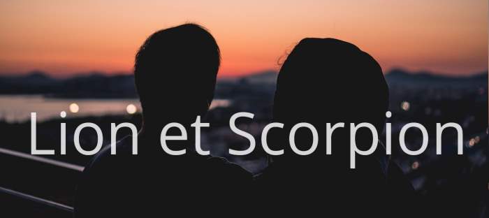 Homme Lion et Femme Scorpion : Compatibilité amoureuse des signes astrologiques