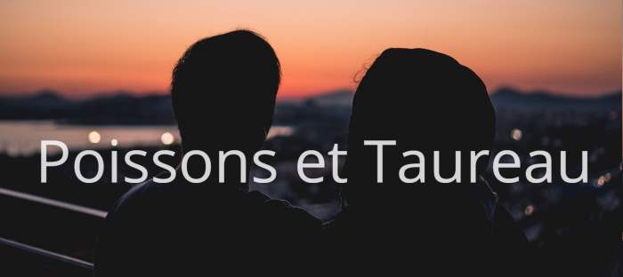 Poissons et Taureau